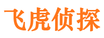 宁德侦探公司